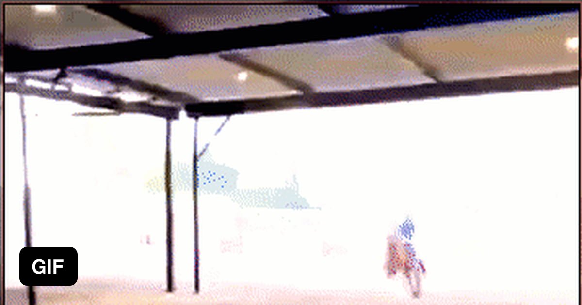 Didn't know horses had emergency break system.