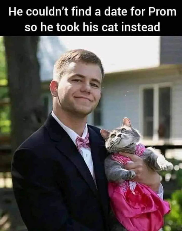 Cat - 9GAG