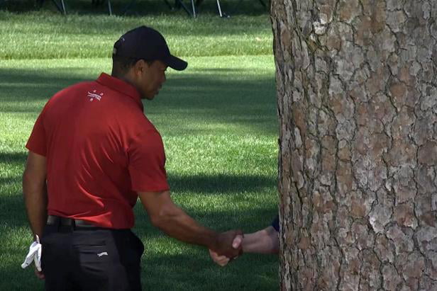 Tiger Woods and tree congratulate each other on long, illustrious ...