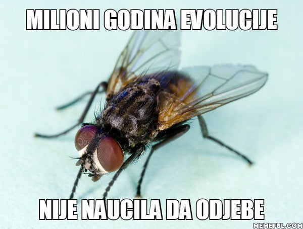 Govno govnjivo - 9GAG