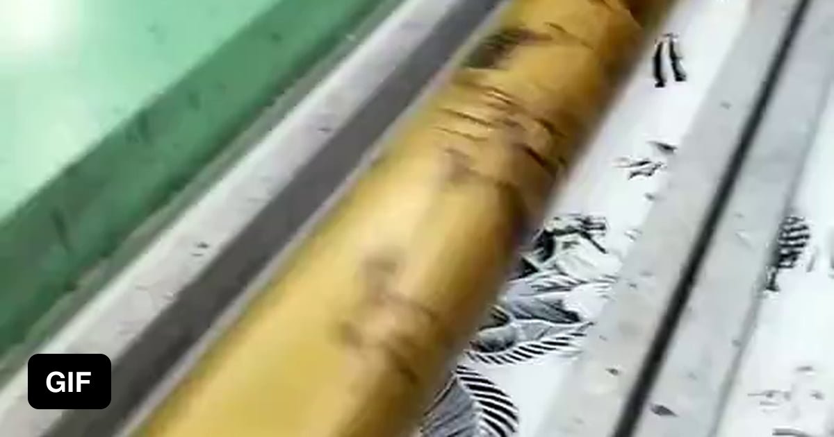 Roller printing on fabric. Truly amazing! 9GAG