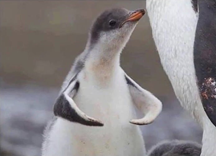 When you open the spaghetti sauce jar on the first try 9GAG