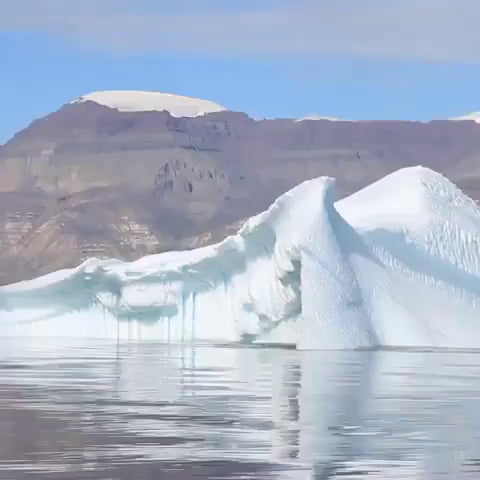 iceberg rolls
