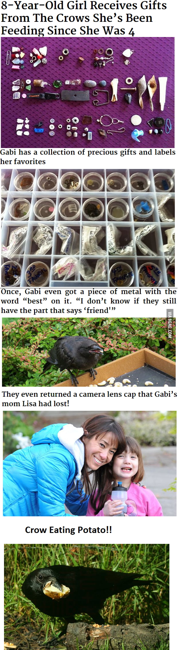 I just read this!