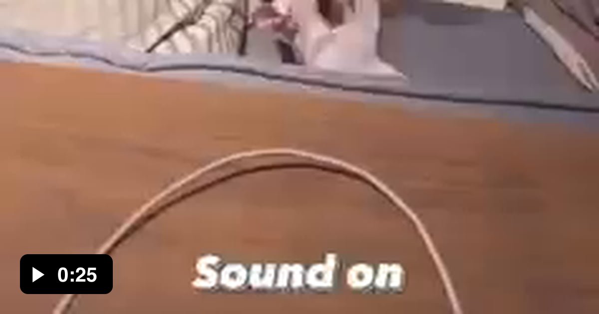 You can hear the slaps when hairless cats fight 9GAG