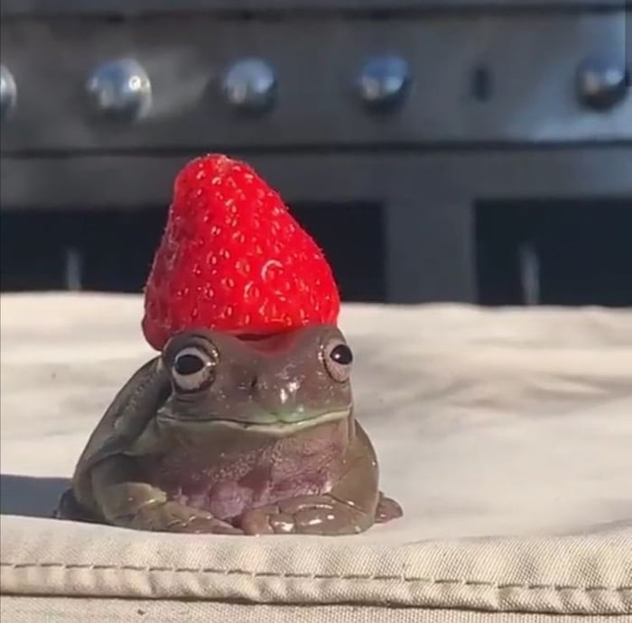 Frog of the harvest and keeper of crops - 9GAG