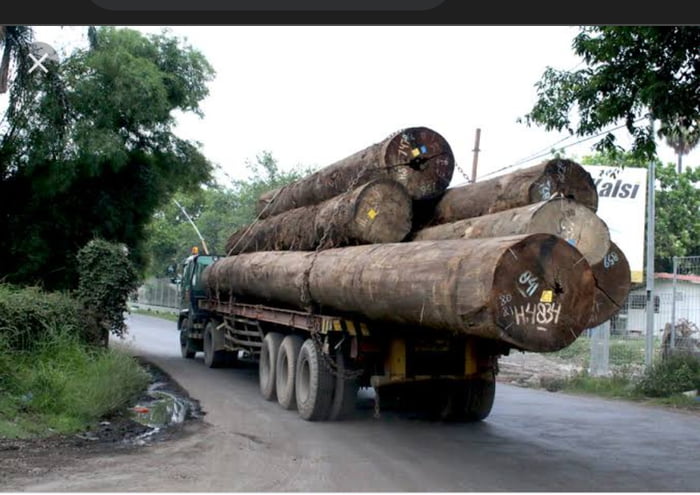 Tiap Hari Ketemu Gini Di Jalan Bisa Beberapa Kali Kadang Truck Cuma