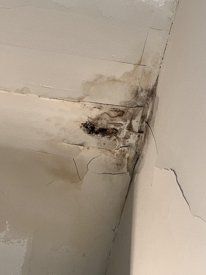 Is this black mold or dust? Boyfriend claims it’s dust on his bathroom ...