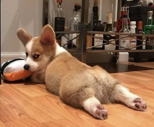 You just want to chill, and she gives you that look. - 9GAG