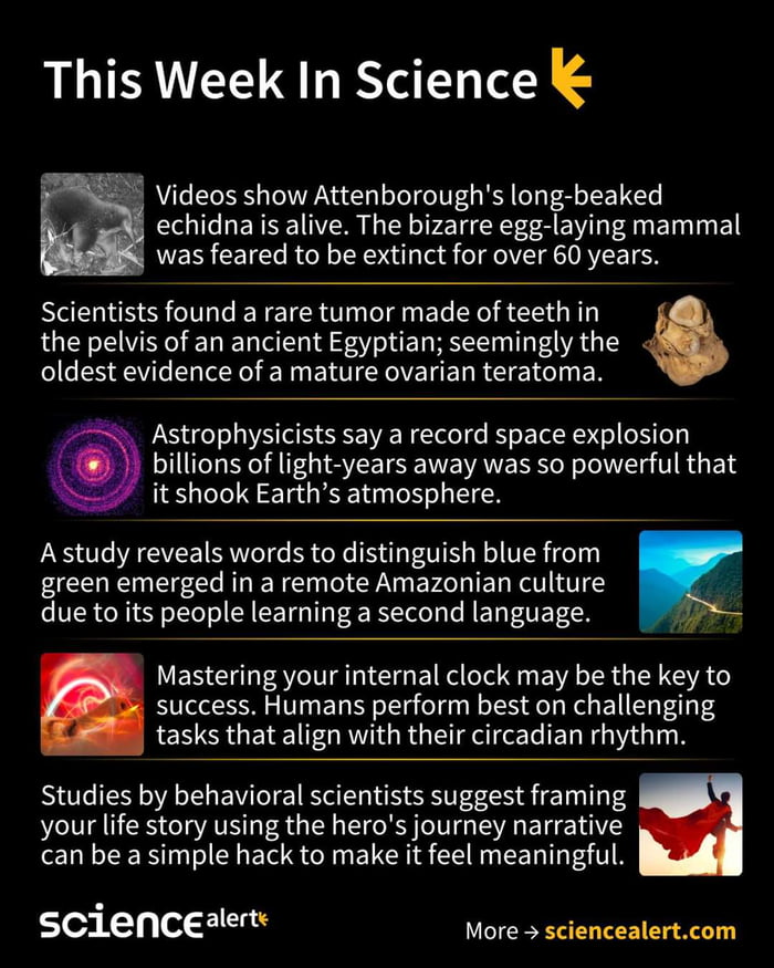 Weekly science by science alert 9GAG