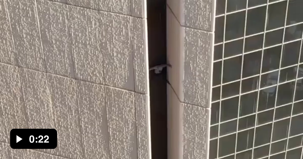 Maison DesChamps climbing Chase Tower in Phoenix, Arizona without