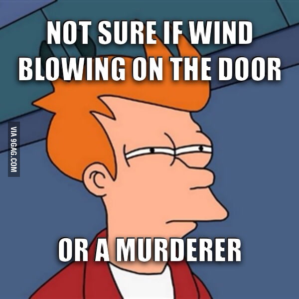 When I m Home Alone And I Hear A Noise 9GAG