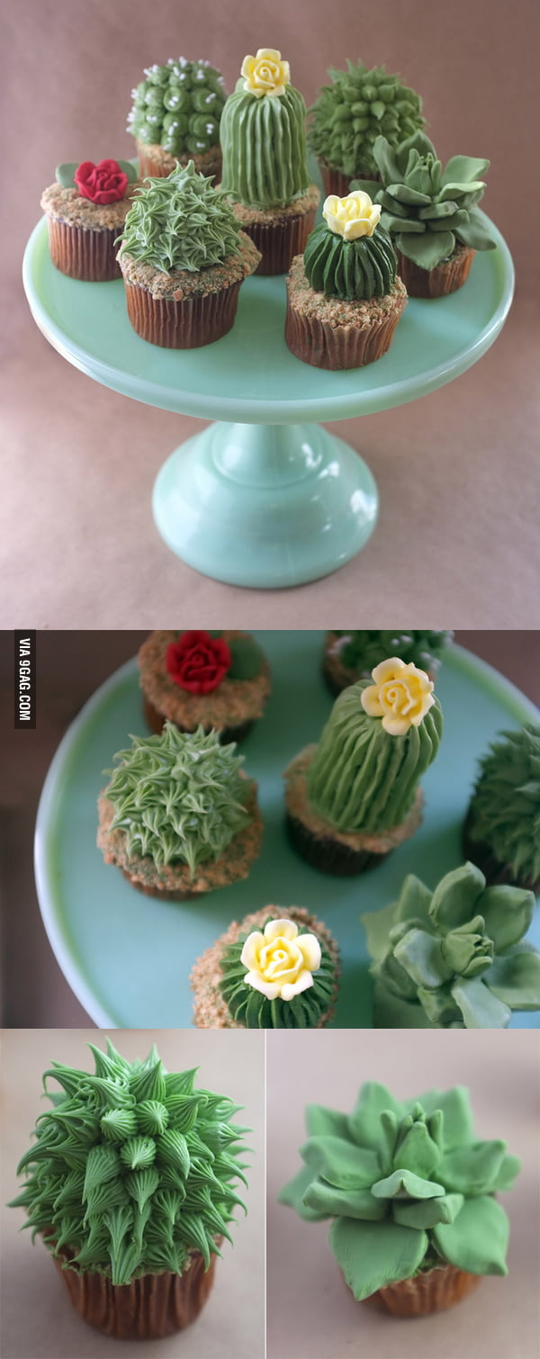 Those are some succulent cupcakes...