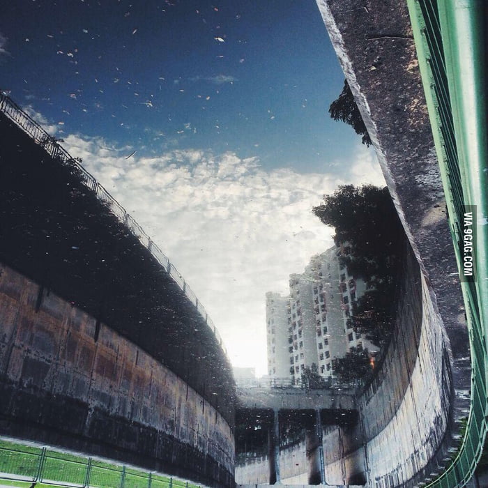 turn-the-picture-upside-down-9gag