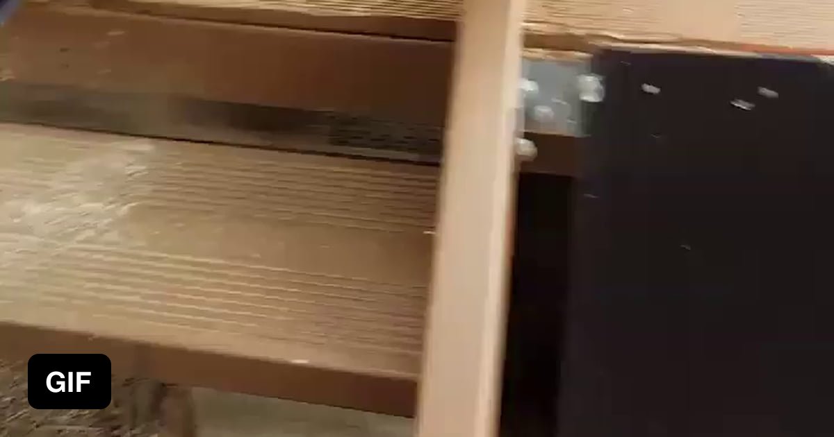 Dog learning to use stairs. - 9GAG