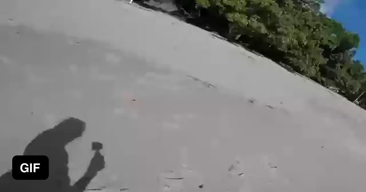 They are still alive - 9GAG