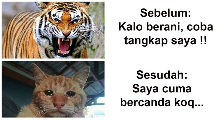 Kebiasaan. - 9GAG