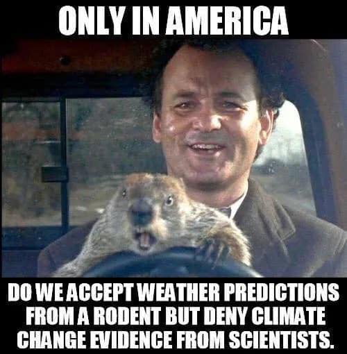 It's Groundhog Day! If a flea-infested rodent can predict weather, you