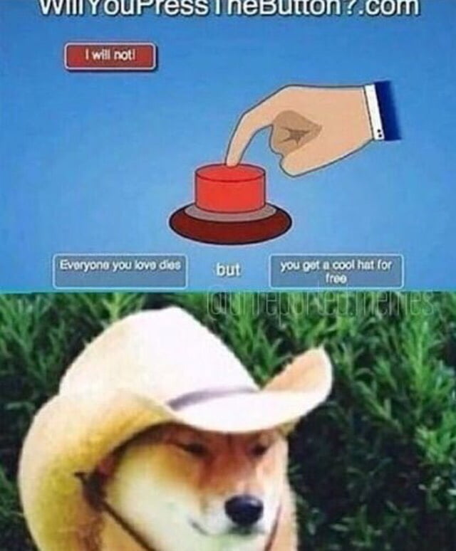 Wot In Tarnation - 9GAG