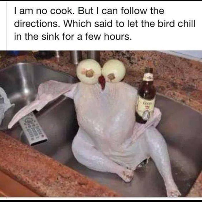 Let The Chicken Chill In The Sink With Onions Alcohol And