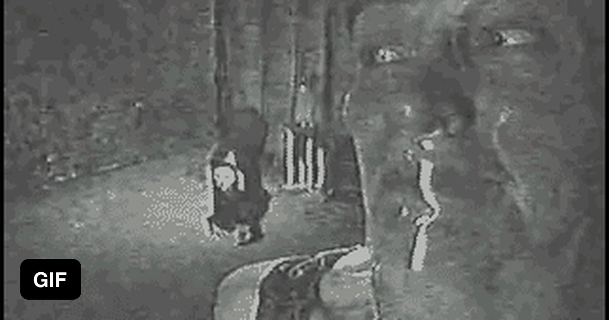 "The Poughkeepsie Tapes" 9GAG