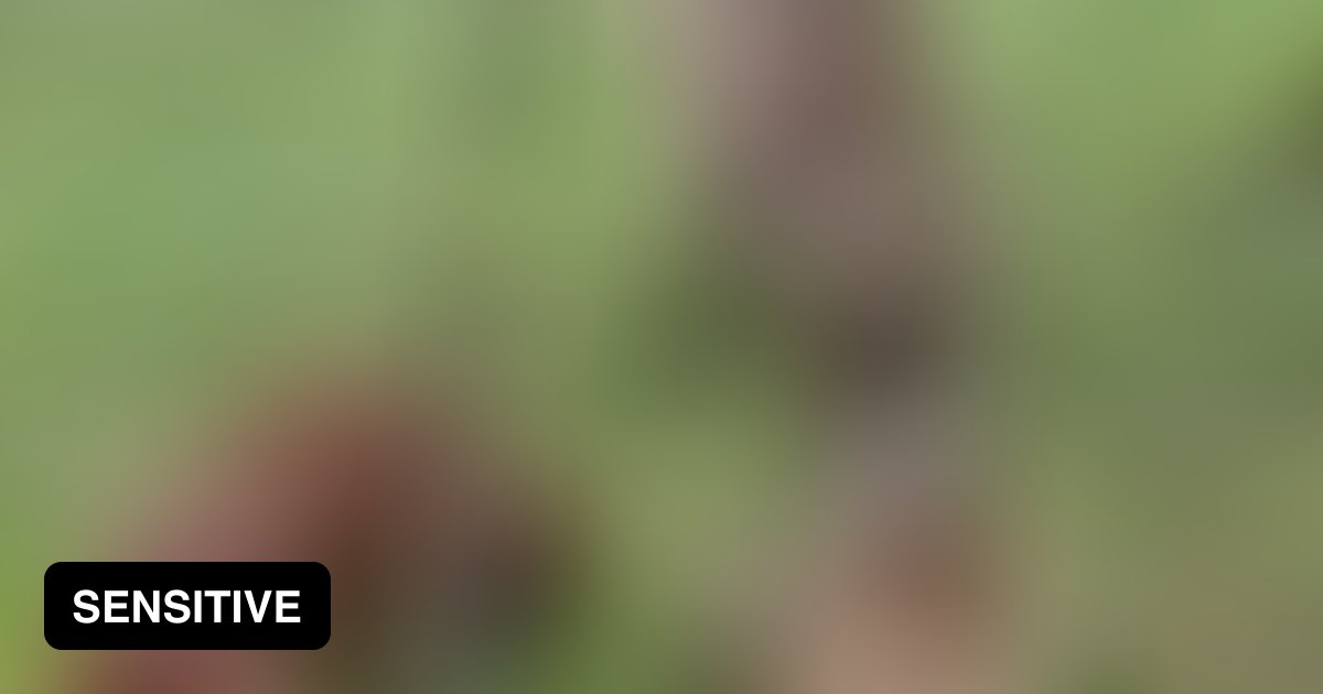 Dog touches electric fence and gets laughed at 9GAG