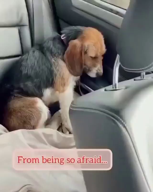 A love story