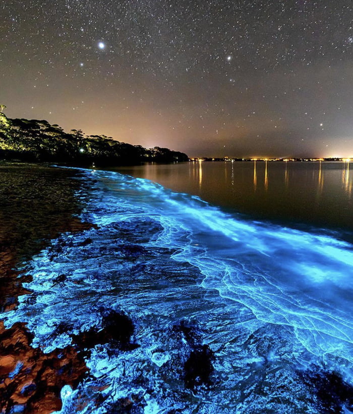 Bioluminescence Algae. Jervis Bay, Australia - 9GAG