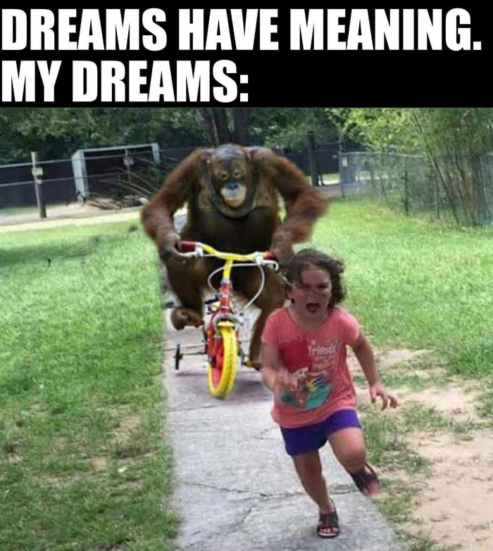 Dreams Have Meaning 9GAG