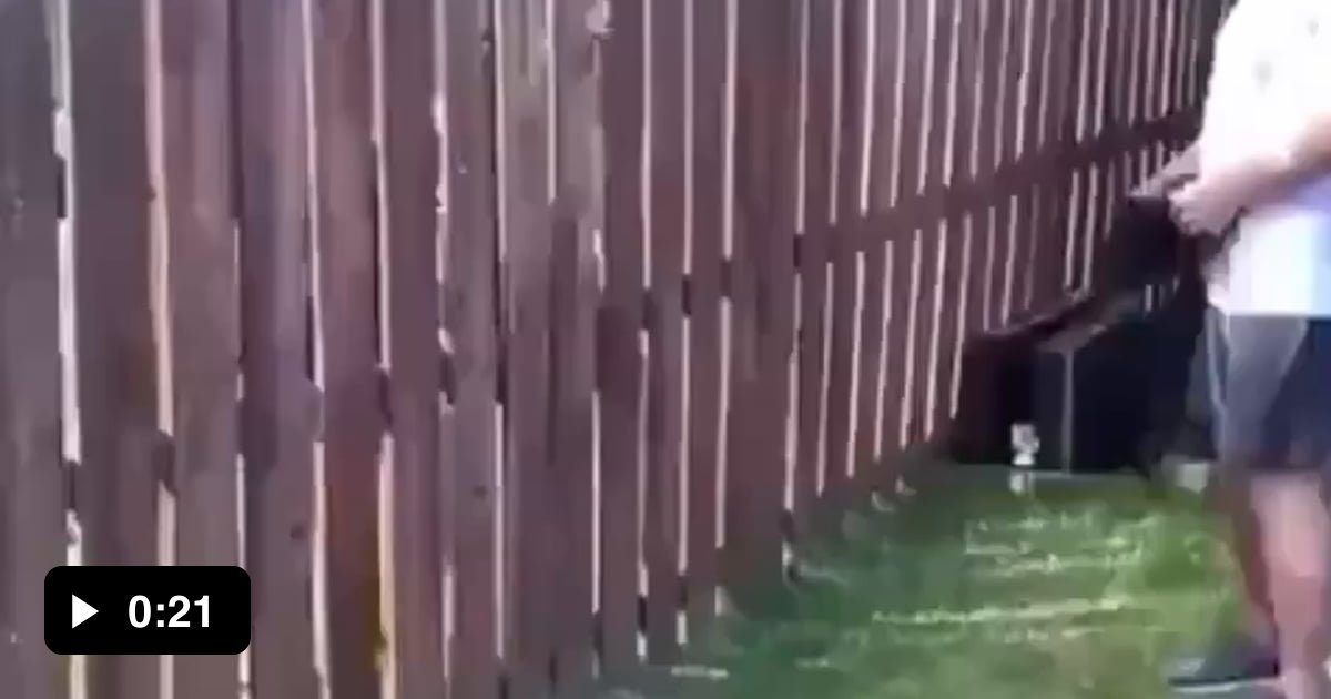 Good fences make good neighbors 9gag
