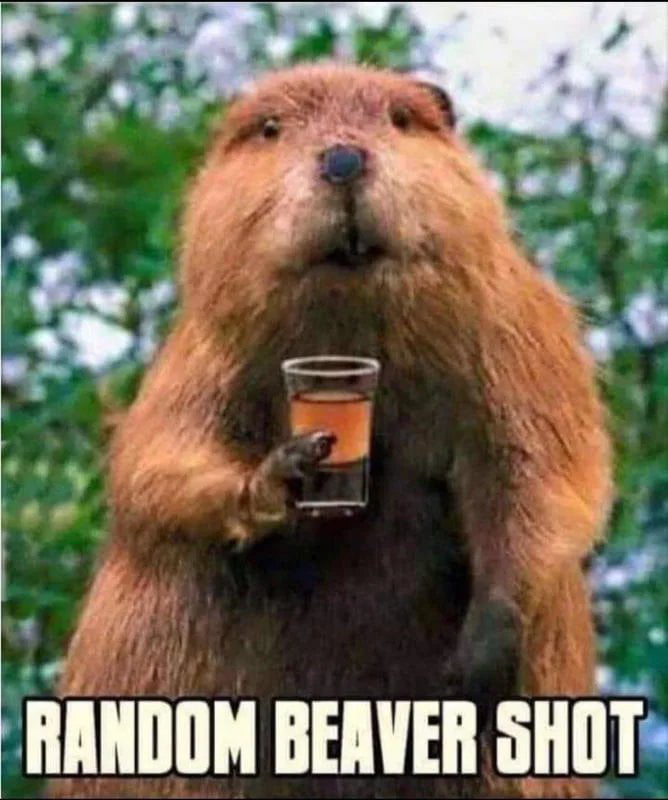 Stole it myself ages ago - 9GAG