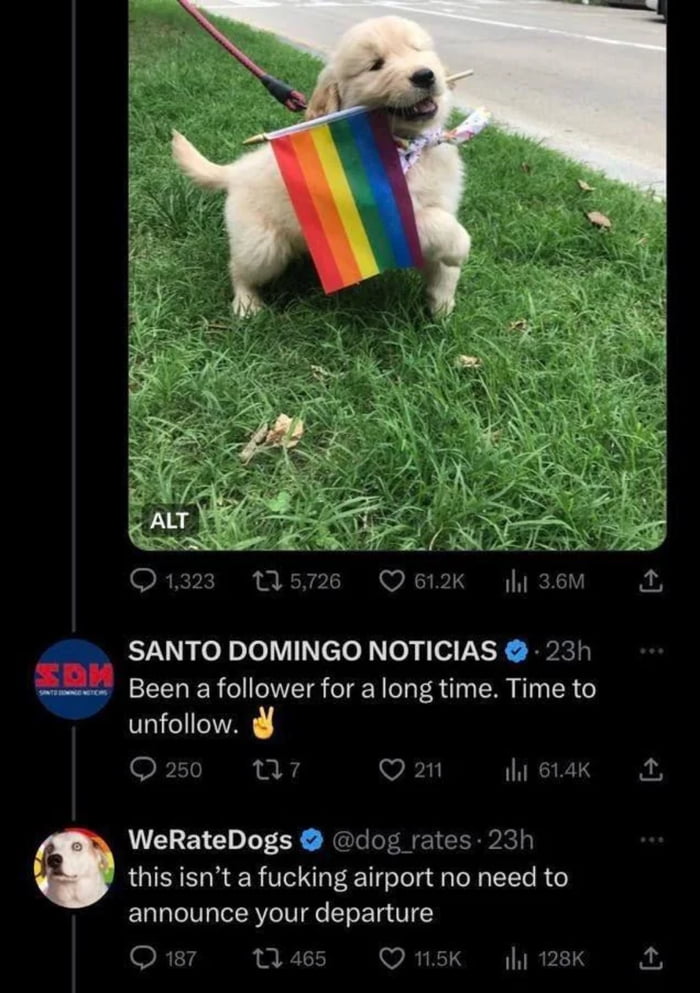 No one cares santo domingo news 9gag