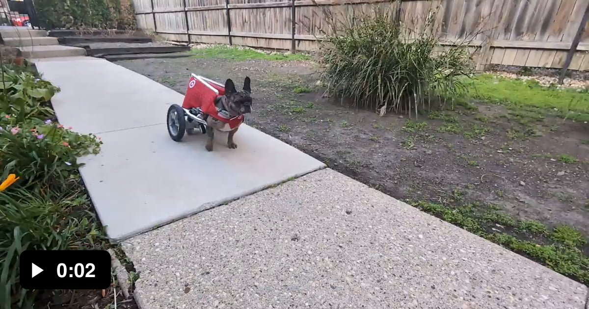 rocky-s-target-shopping-cart-costume-9gag