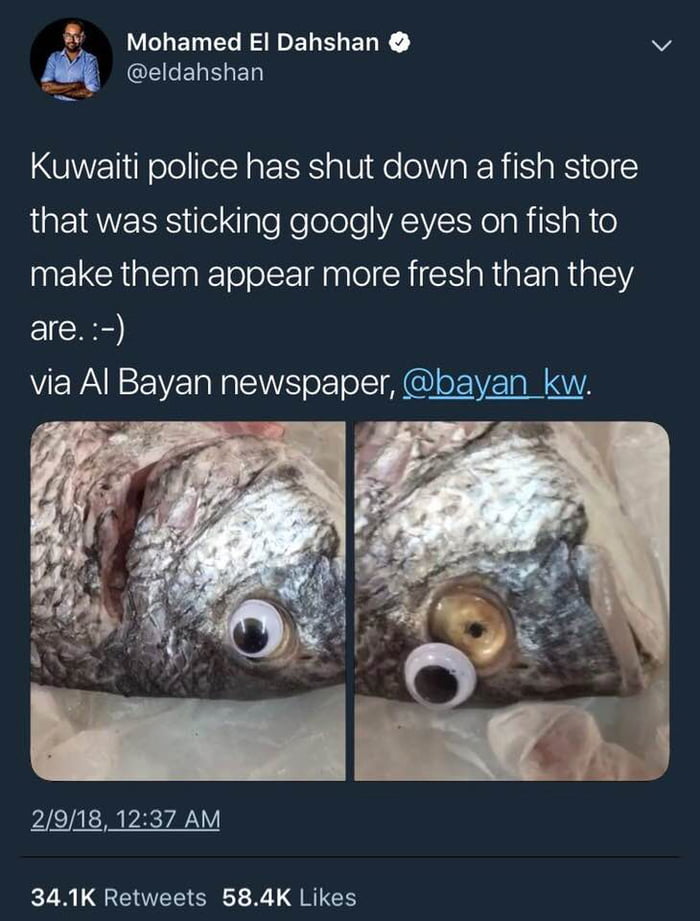 Googly Eye Fish - 9GAG