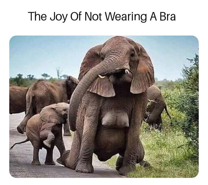 The Joy of Not Wearing a Bra
