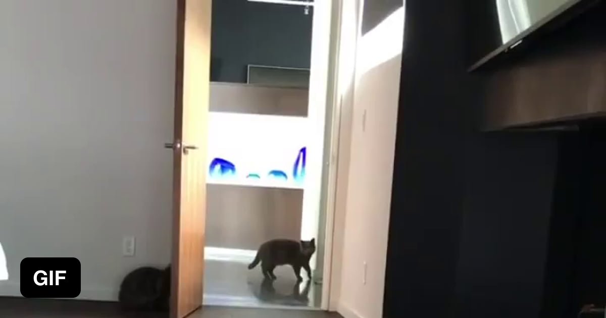 Some Pranks Are Universal 9gag