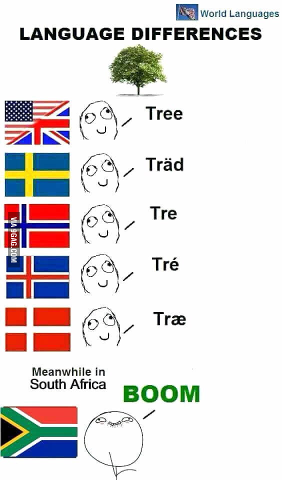 how-to-say-tree-in-different-languages-9gag