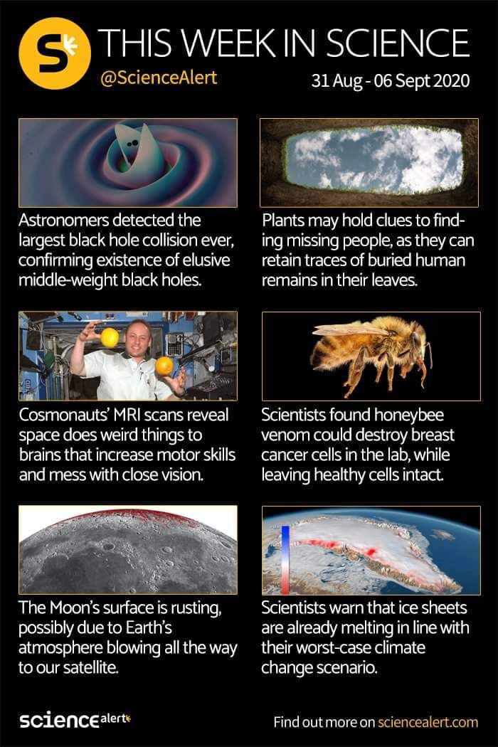 49 Weekly Science Alert 9GAG