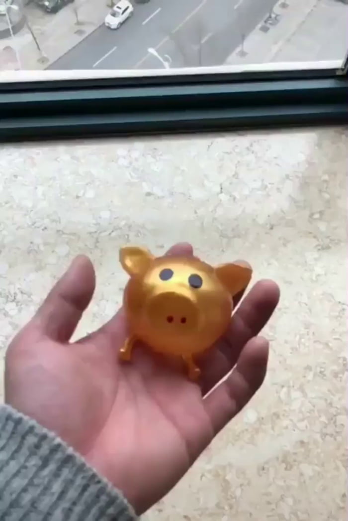 This Liquid pig Splash Toy. - 9GAG