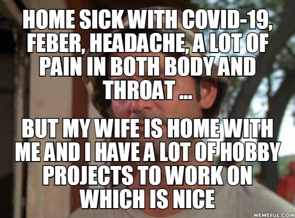 Download Sick Working From Home Meme With Images
