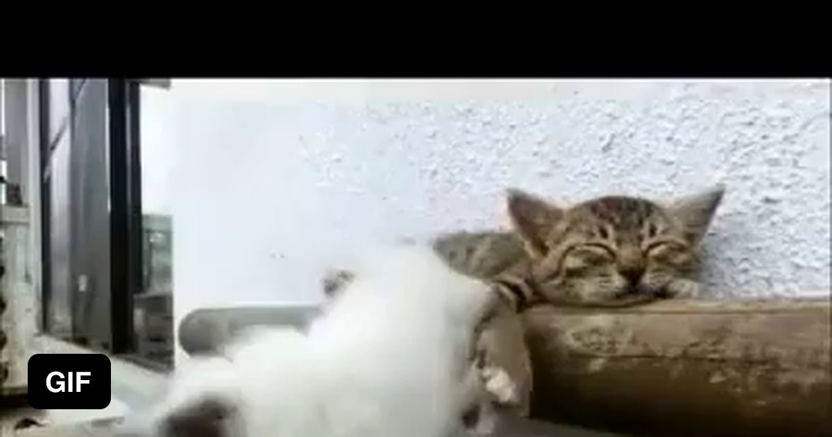 Come On Get Up Get Up Get Up Ge 9GAG come-on-get-up-get-up-get-up-ge-9gag