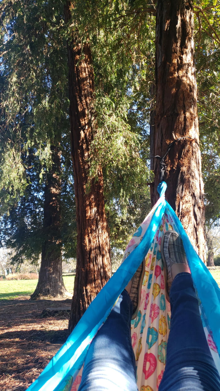 The UC Davis Arboretum during finals week. 9GAG