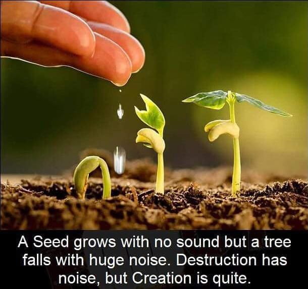 A seed grows with no sound, but a tree falls with huge noise