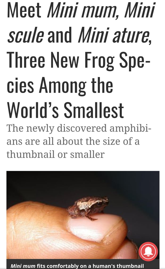 Meet 'Mini mum,' 'Mini scule' and 'Mini ature,' Three New Frog Species  Among the World's Smallest, Smart News