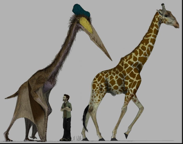 flying quetzalcoatlus