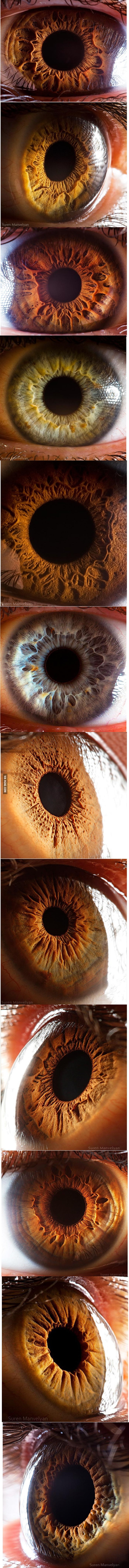 Mezmerising close-up photos of the human eye