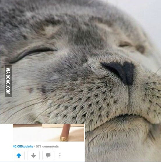 Dat feel... - 9GAG