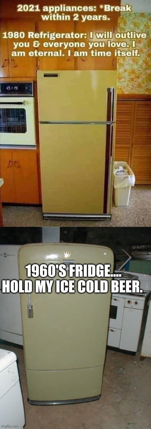 I am the Keith Richards of fridges. - 9GAG