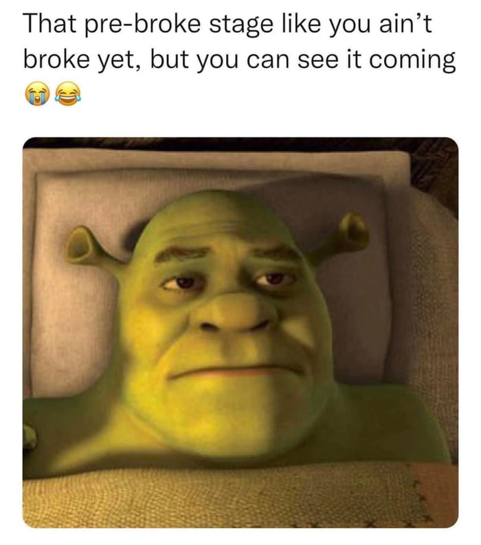 Most depressing, actually worst than the broke day. (Shrek) - 9GAG