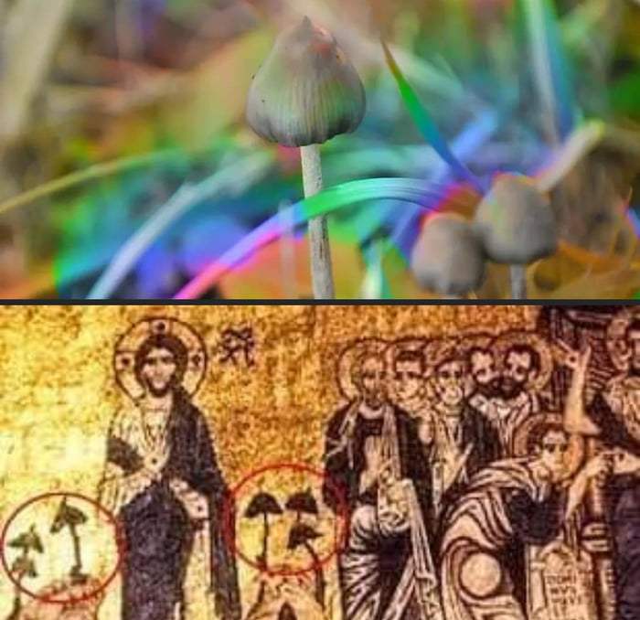 There is alot of mushrooms hidden in old Christian art. 9GAG